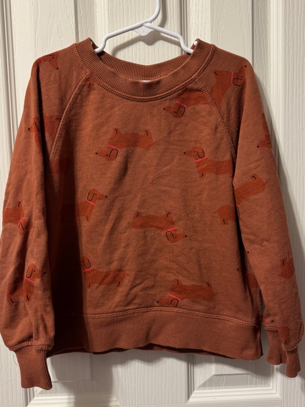 EUC Hanna Andersson sweatshirt with pups wearing pink collars